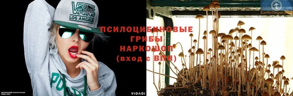 PSILOCYBIN Арсеньев